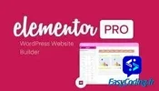 Elementor pro